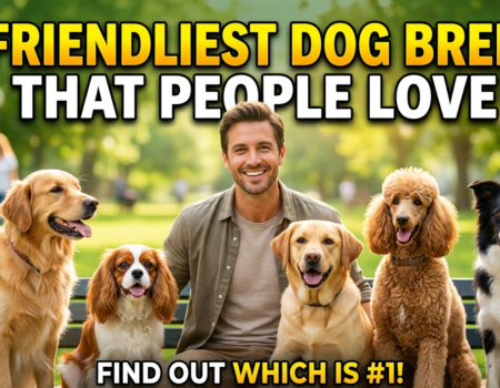 10 Friendliest Dog Breeds That People Love