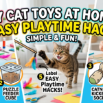 DIY Cat Toys at Home