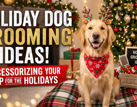 Holiday Dog Grooming Ideas
