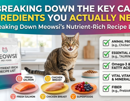 Ingredients Your Cat Actually Needs