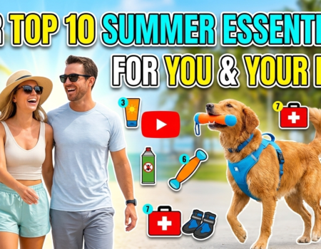 10 Summer Essentials for You and Your Dog