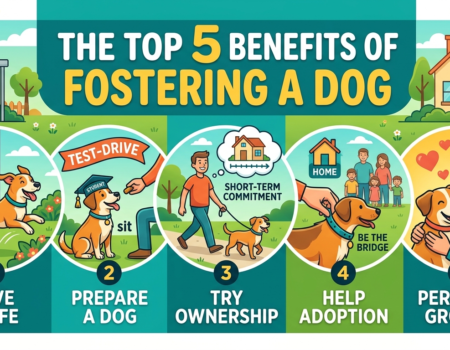 The Top 5 Benefits of Fostering a Dog
