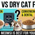 Wet vs Dry Cat Food