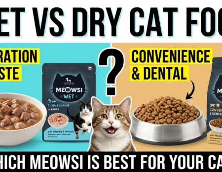 Wet vs Dry Cat Food