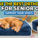 How To Choose The Best Orthopedic Cat Bed