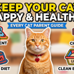 How to Keep Your Cat Happy and Healthy