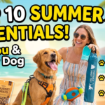 top 10 Summer essentials for you and your dog