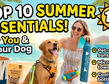 top 10 Summer essentials for you and your dog