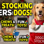 Stocking filler ideas for dogs