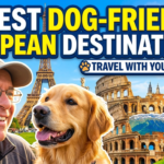 10 Best Dog-Friendly Destinations in Europe