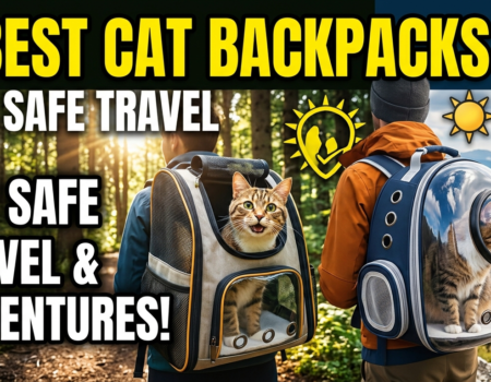 7 Best Cat Backpacks for Safe Travel