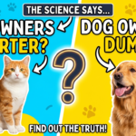 Are cat owners smarter than dog owners
