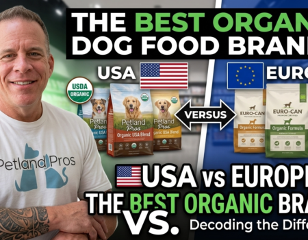 Best Organic Dog Food Brands