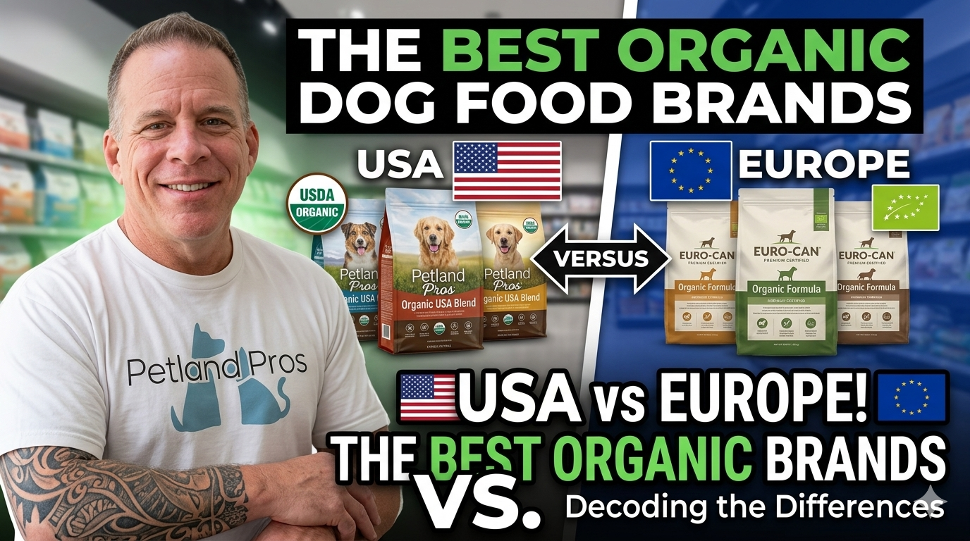 Best Organic Dog Food Brands
