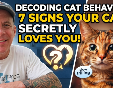 Decoding Cat Behavior