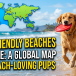 Dog-Friendly Beaches Near Me