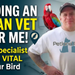 Finding an Avian Vet Near Me