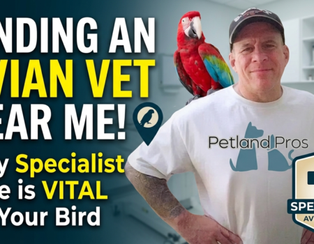 Finding an Avian Vet Near Me