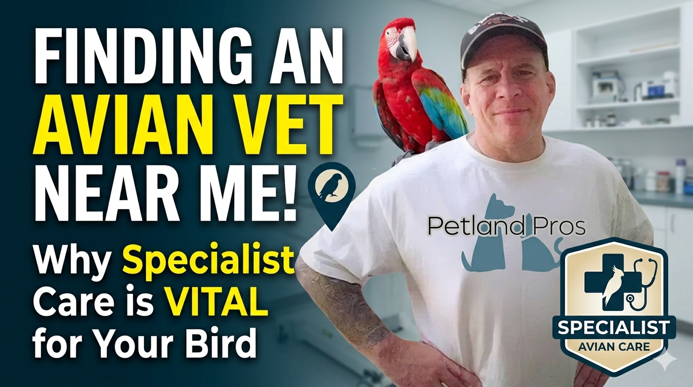 Finding an Avian Vet Near Me