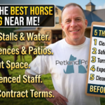 Finding the Best Horse Boarding Near Me