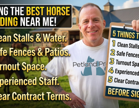 Finding the Best Horse Boarding Near Me