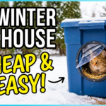 How to Build a DIY Outdoor Cat House for Winter