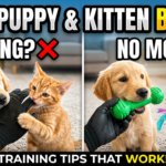 How to control biting in puppies