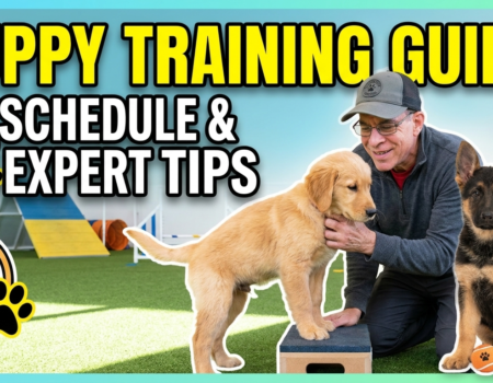 The Ultimate Guide to Puppy Training