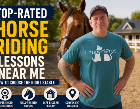 Top-Rated Horse Riding Lessons Near Me