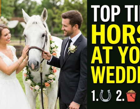 Top tips for having your horse at your wedding