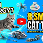8 Smart Cat Toys for High Energy Cats