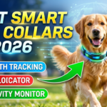 Best Smart Dog Collars of 2026