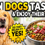 Can dogs taste