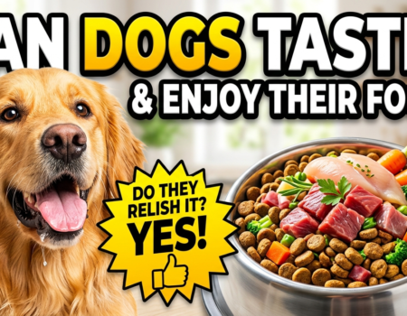 Can dogs taste