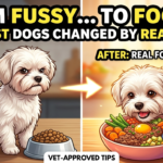 From fussy to foodie
