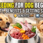 Raw Feeding for Dog Beginners