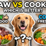 Raw vs cooked fresh dog food