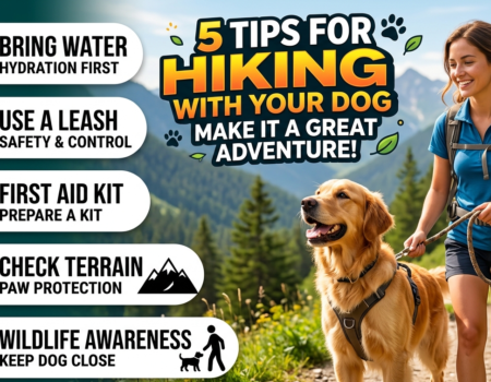 5 Tips for Hiking With Your Dog