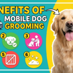 6 Benefits of Mobile Dog Grooming