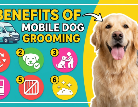 6 Benefits of Mobile Dog Grooming