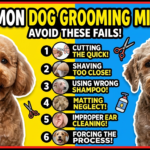 6 Common Dog Grooming Mistakes