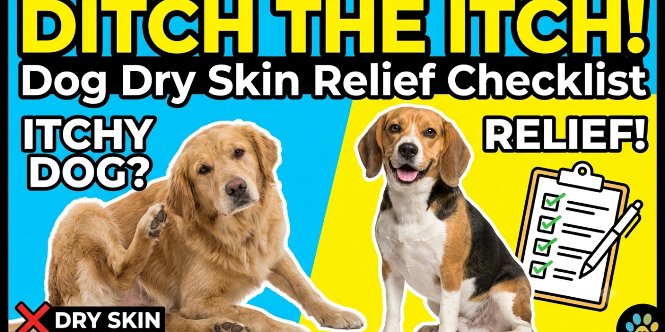 Dog Dry Skin Relief Checklist