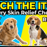 Dog Dry Skin Relief Checklist