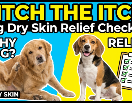 Dog Dry Skin Relief Checklist
