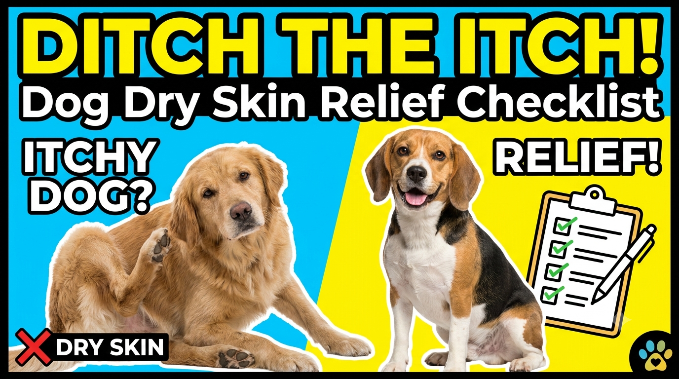 Dog Dry Skin Relief Checklist