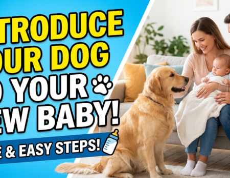 How To Introduce Your Dog to Your New Baby