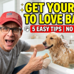 How to Get Your Dog to Love Baths
