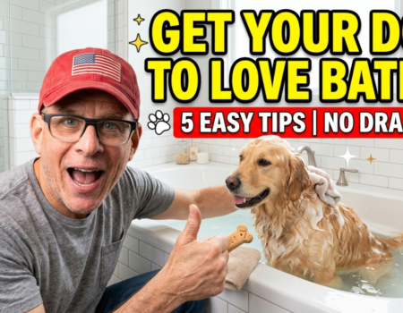How to Get Your Dog to Love Baths