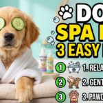 How to Give Your Dog a Spa Day