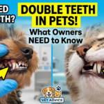 Retained Deciduous Teeth in Dogs and Cats